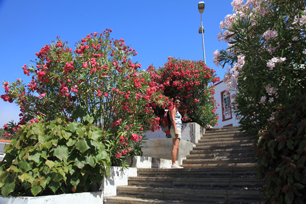 Los Canarios Hans en Gina Mom